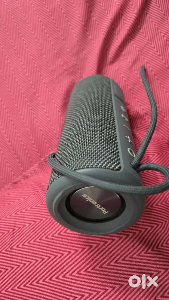 Protonic double drum bass radiators MINT CONDITION