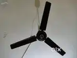 Ceiling fan
