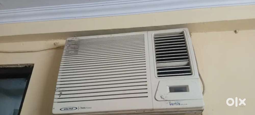 Window 1.5 tan Voltavs