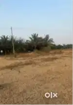 2 acres agricultural land for sale with thar road approach