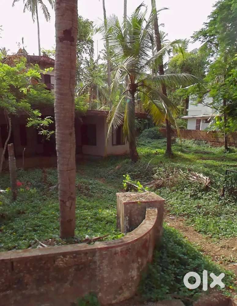 Residential/Commercial Land for Sale – 27 Cents, Near Kannur NH66