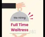 Need waiter & waitress