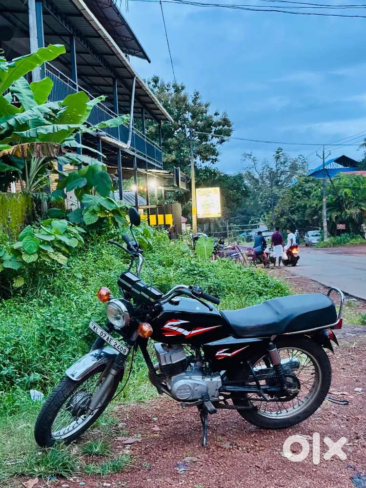 Suzuki MAX100