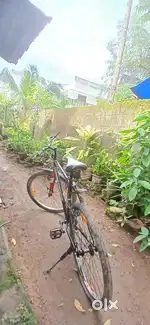 Very comfortable and enjoying the ride