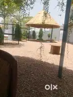 Indian chef, chinese,and English chef resort