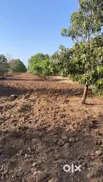 Farm land in dahanu