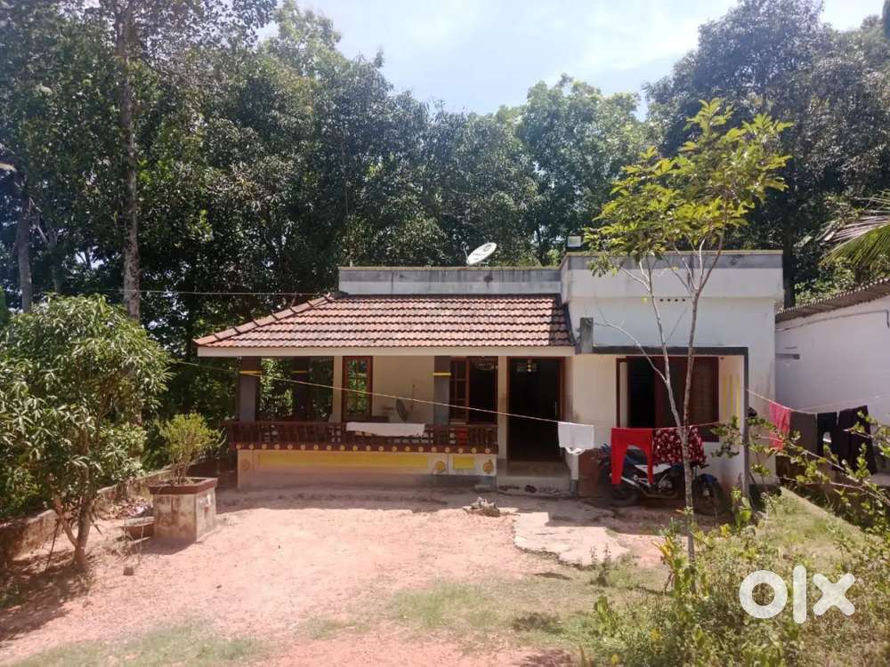 Urgent sale 16 cent plot with 4 bhk house price is negotiable