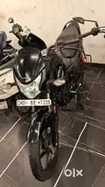 Honda livo