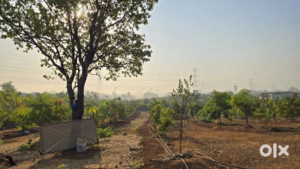 Agri farm land for sale 78 gunthas Lavhali Chargao