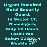 All Security Jobs Chandigarh 56