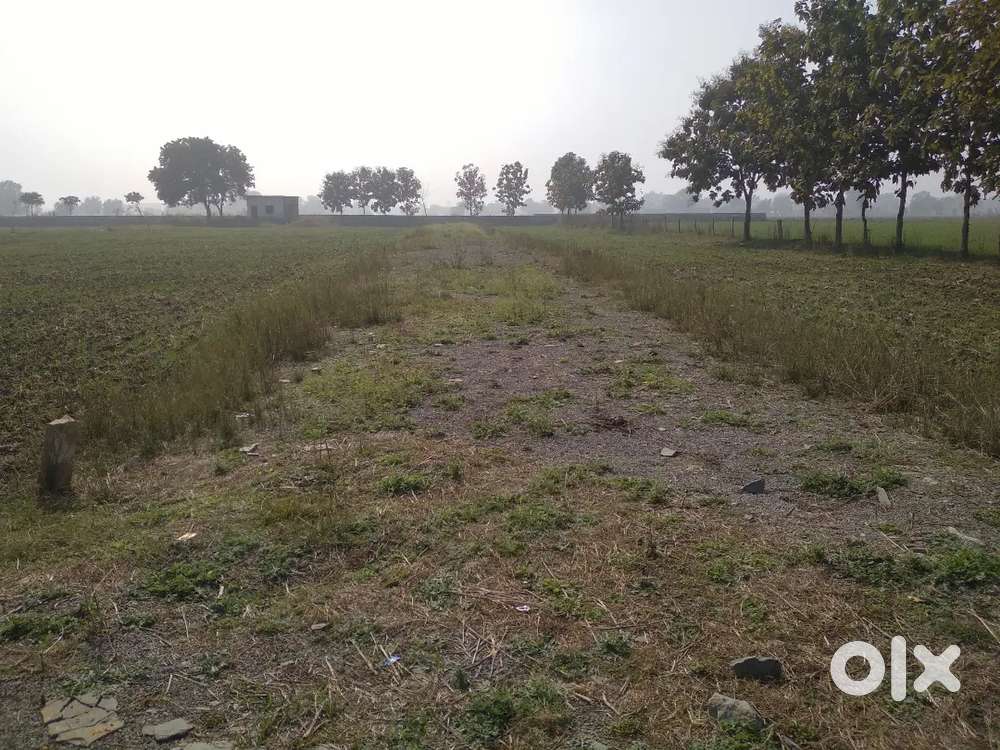 रौशर पिपरा में सबसे सस्ते प्लॉट