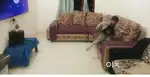 L type shofa