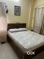 Plywood Designer Bed with Hydraulic Storage in Brand New Condition