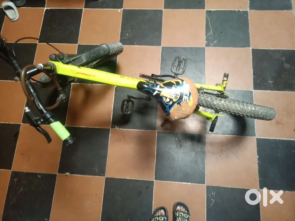 Steethawk kind Bicycle in parrot colour