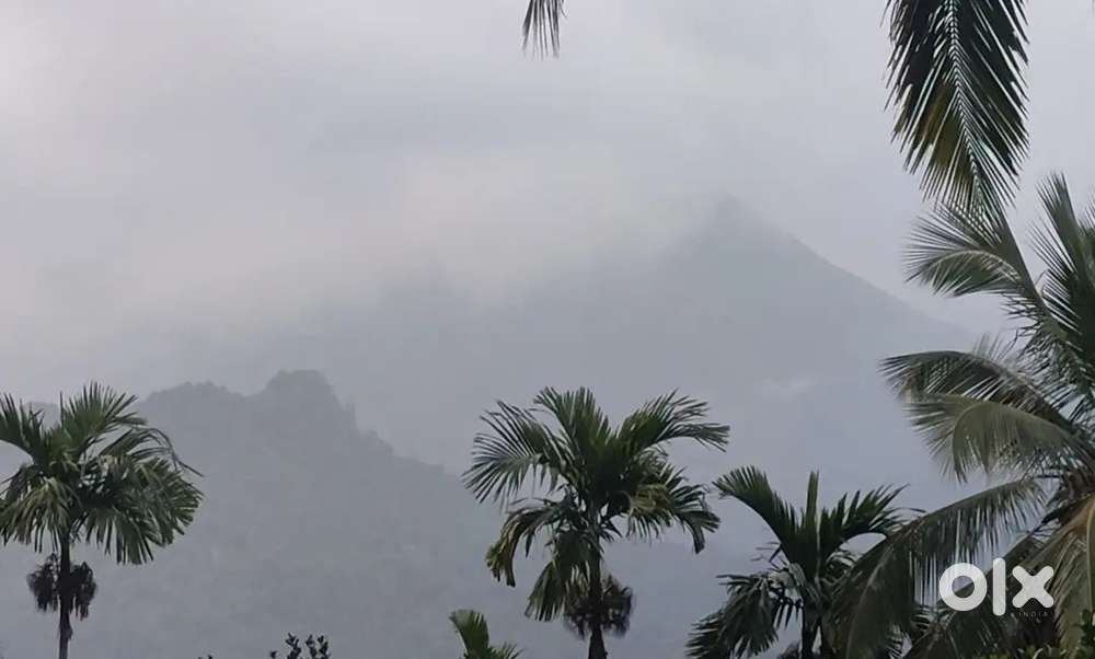 Land for sale in thamarassery.