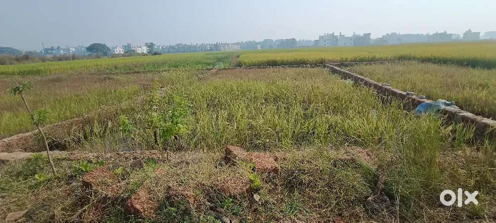 Ghara bari plot near at Rangabazar