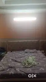 Looking for a roommate