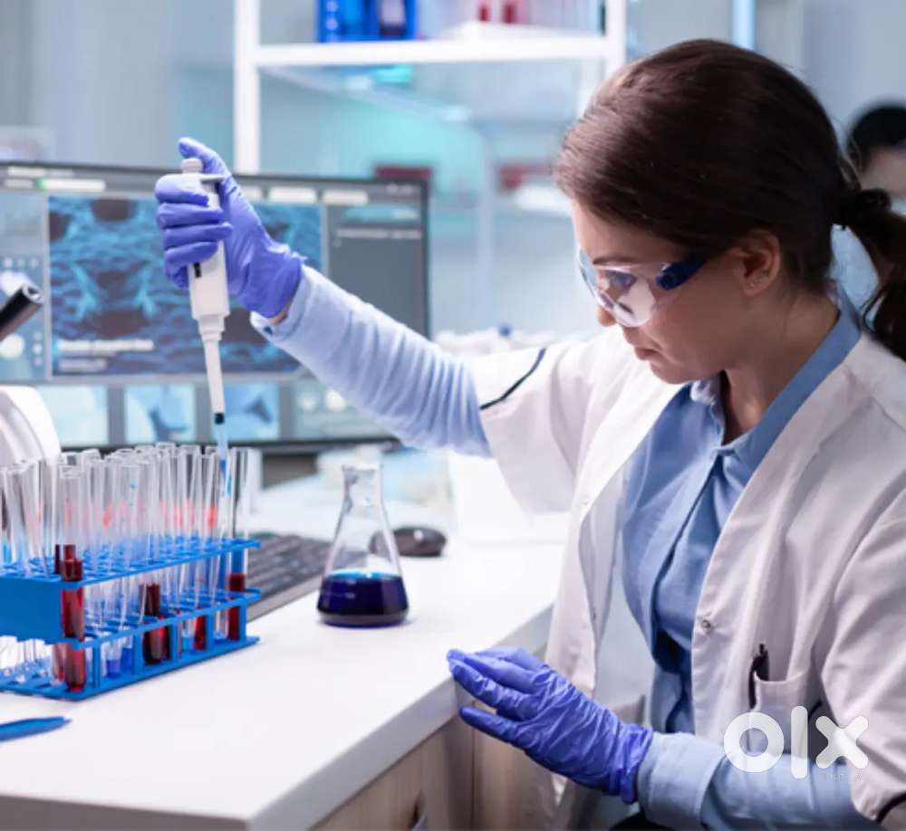 I am currently looking for a Dmlt job