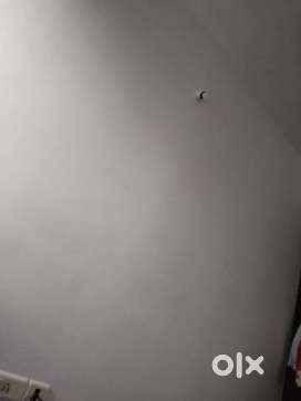 Gents,mens,boys hostel Palarivattom kochi.