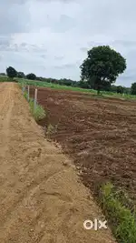 Suitable for FarmHouse,20 Guntas Agriculture land for sale