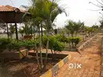 sites in Sivasai Nagar,sites in Chandapura,BMRDA Approved E Katha