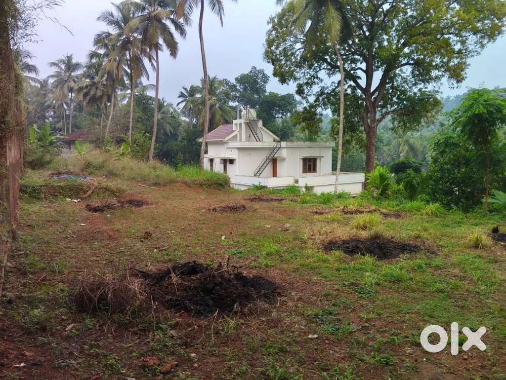 Plot for sale near kovoor MLA road