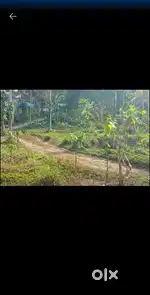 20 cent plot for sale in sulthan bathery beenachi poothikkad..