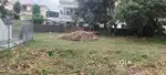 Direct  ownership  plot for sell only for buyers