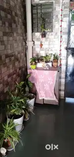 Need urgently female roommates (Girls Only)