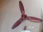 Fan crompton