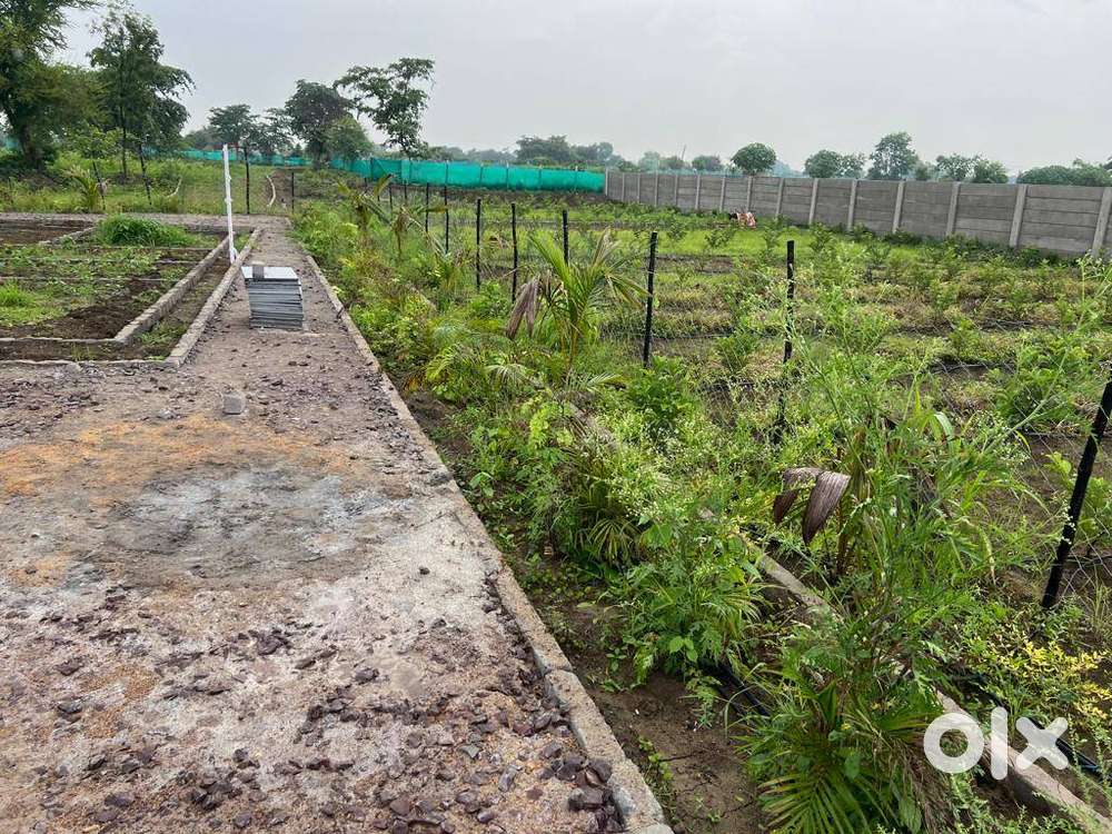 शानदार फार्महाउस प्लॉट – बड़ा प्लॉट, बड़ा मौका