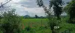 Farmland Kheti Available