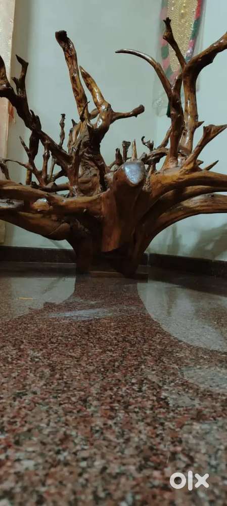 Driftwood home decor Teak Tree