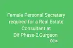 Female Personal Secretary (part time) required At DLF Phase-2.Gurgaon