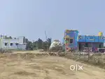 Dtcp Approved Land per sqft Rs. 585 Minjur to ponneri