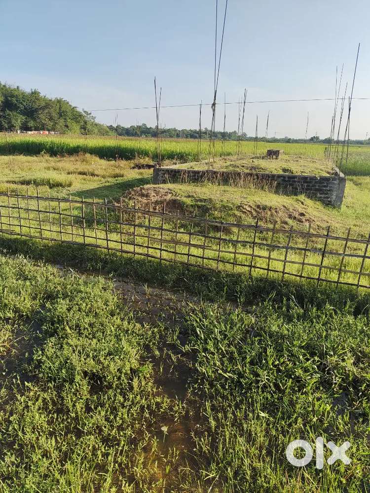 area,dud patil area near mathura pull