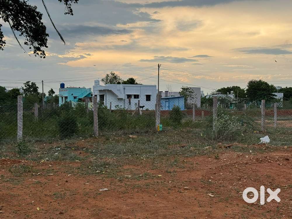 4.25 Cent Plot Rate Rs.22,75,000/-