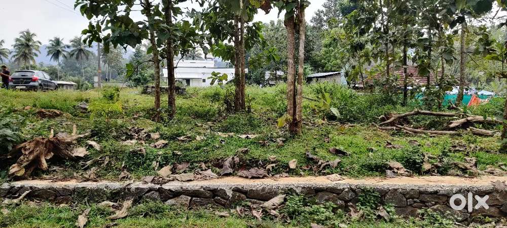 15.35 Cent House plot in Marady