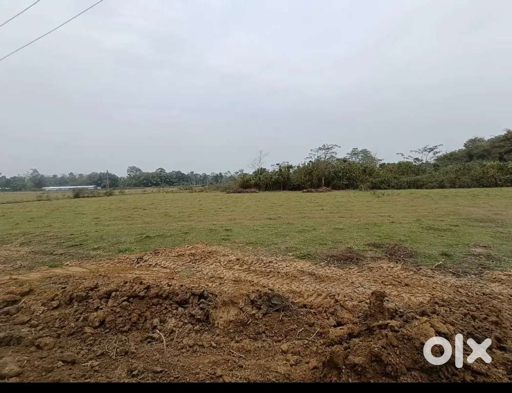 Empty plot for sale at  low price