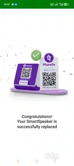 Phonepe private limited company