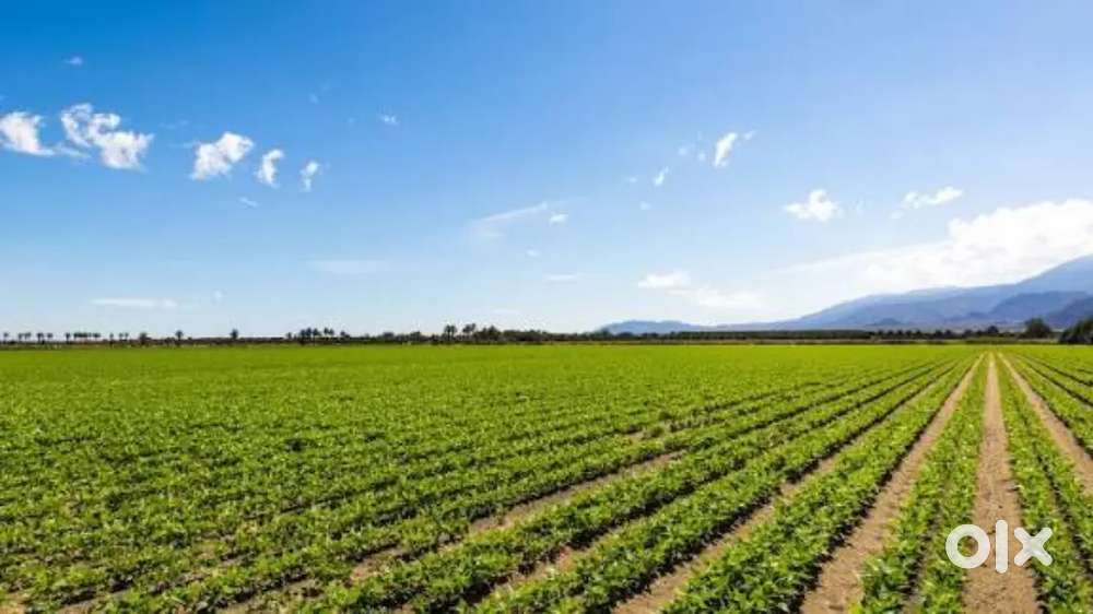 Narayanked: One Acre Land for Sale near NH 161 / Best for Investment