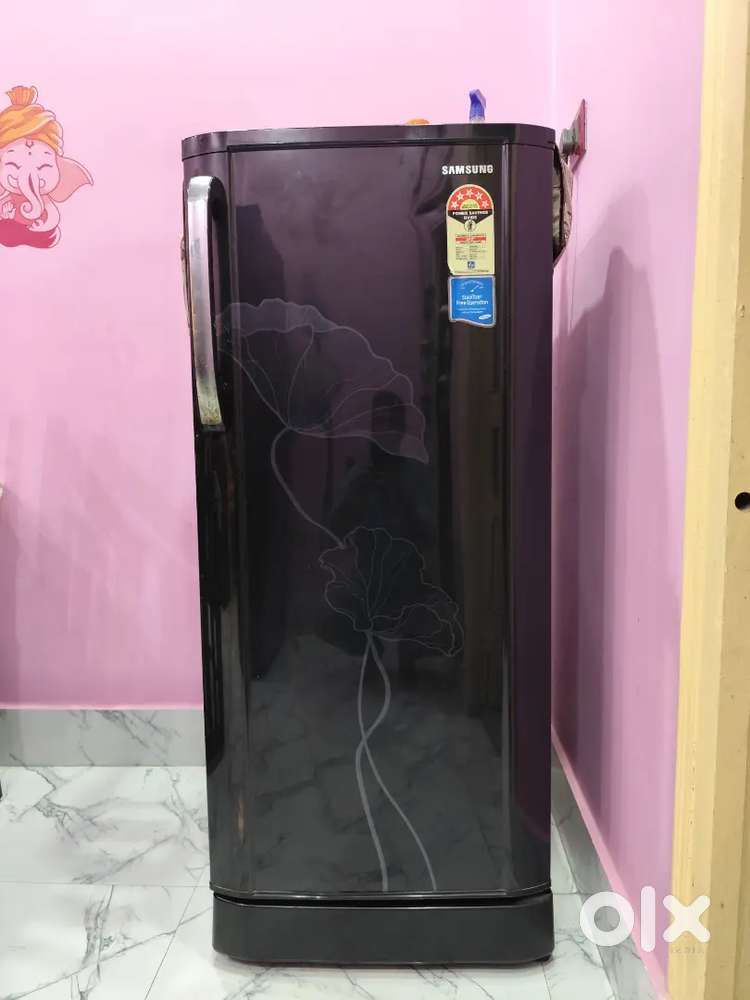 Samsung Single Door freeze