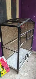 Love birds cage