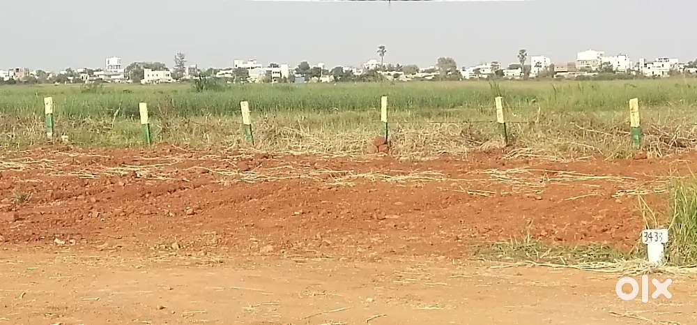 Pathapadu near to New Bypaas open plot Available