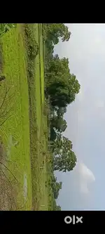 बिलासपुर अकलतरा नेशनल हाईवे NH 49 में 08 डिसमील ज़मीन बेचना है