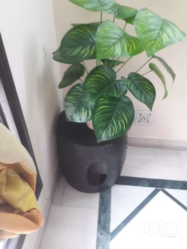 It is a decorative item