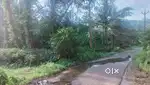 34 cent road frontage land sale near Thoduppuzha