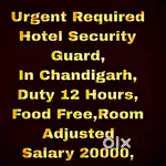Chandigarh 5 Star Hotel Security Guard Job 14