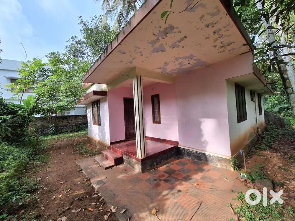 Plot and house for sale