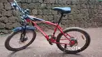 GANG Cycles Cygor Multi Speed Front-Suspension With Dual Disc Brake